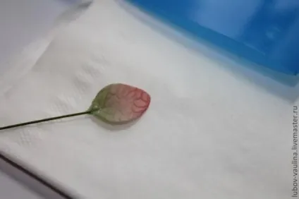 Гортензія з холодного фарфору - ярмарок майстрів - ручна робота, handmade