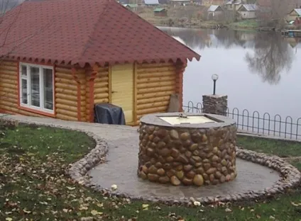 гниття деревини
