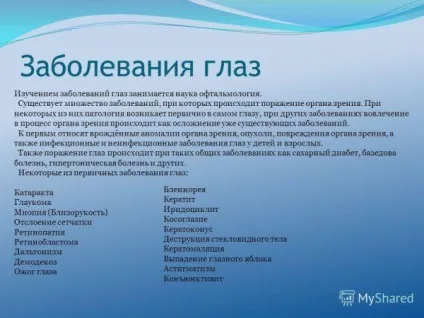 Очні краплі від втоми і напруги очей від комп'ютера для зняття список і назви (очні) Очні краплі від втоми і напруги очей від комп'ютера для зняття список і назви