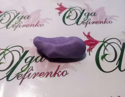 Гортензія з холодного фарфору своїми руками майстер-клас для початківців (гортензія з холодного фарфору) Гортензія з холодного фарфору своїми руками майстер-клас для початківців