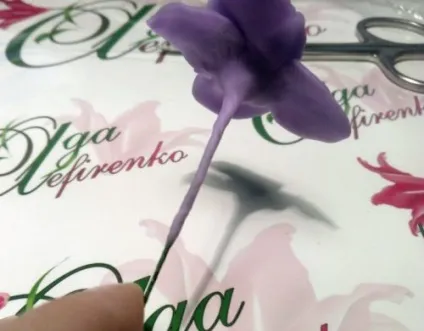Гортензія з холодного фарфору своїми руками майстер-клас для початківців (гортензія з холодного фарфору майстер-клас) Гортензія з холодного фарфору своїми руками майстер-клас для початківців
