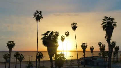 Grand theft auto 5 графічний мод naturalvision remastered - файли - патч, демо, demo, моди, (theft) Grand theft auto 5 графічний мод naturalvision remastered - файли - патч, демо, demo, моди,