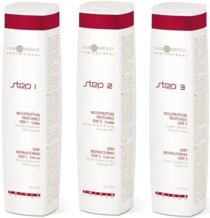 Hair company triple action набір для повного і глибокого відновлення волосся (hair company triple action набір для відновлення волосся купити) Hair company triple action набір для повного і глибокого відновлення волосся