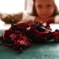 Інформації про користь і шкоду чаю каркаде дуже багато (багато) Інформації про користь і шкоду чаю каркаде дуже багато