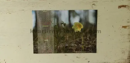Імітація цегляної кладки своїми руками (руками) Імітація цегляної кладки своїми руками