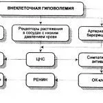 Іночка або Інночка як правильно - давайте розберемося як правильно пишеться наше ім'я, НОКК і я (правильно) Іночка або Інночка як правильно - давайте розберемося як правильно пишеться наше ім'я, НОКК і я