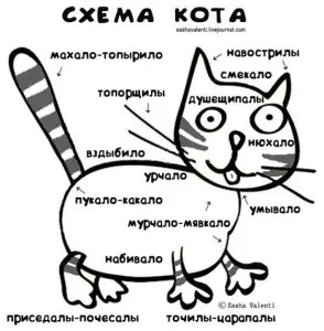 Цікаві випадки з життя кота і собаки, благодійна асоціація захисту тварин (тварин) Цікаві випадки з життя кота і собаки, благодійна асоціація захисту тварин
