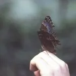 Як би здорово було - жити у моря! (Було) Як би здорово було - жити у моря!