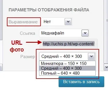 Зображення, фото та галереї в статтях wordpress