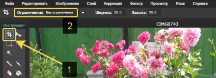 Як швидко відредагувати зображення через онлайн редактор photoshoponline! (Зображення) Як швидко відредагувати зображення через онлайн редактор photoshoponline!