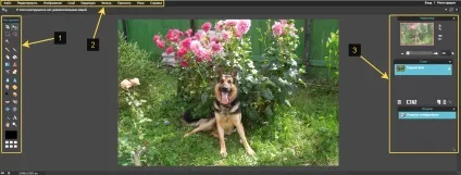 Як швидко відредагувати зображення через онлайн редактор photoshoponline! (Онлайн) Як швидко відредагувати зображення через онлайн редактор photoshoponline!