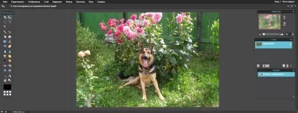 Як швидко відредагувати зображення через онлайн редактор photoshoponline! (Швидко) Як швидко відредагувати зображення через онлайн редактор photoshoponline!