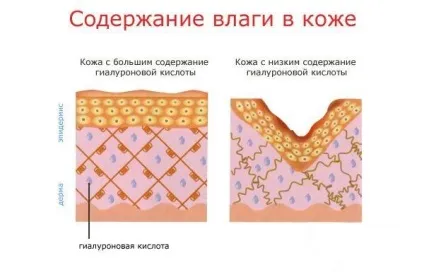 Як часто можна і потрібно робити биоревитализации (потрібно) Як часто можна і потрібно робити биоревитализации