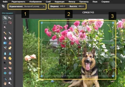 Як швидко відредагувати зображення через онлайн редактор photoshoponline! (Швидко) Як швидко відредагувати зображення через онлайн редактор photoshoponline!
