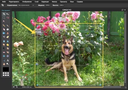 Як швидко відредагувати зображення через онлайн редактор photoshoponline! (Швидко) Як швидко відредагувати зображення через онлайн редактор photoshoponline!