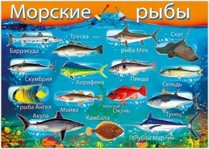 Яка риба є морський