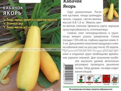 Кабачки відео вирощування і догляд у відкритому грунті, які сорти кабачків краще (догляд) Кабачки відео вирощування і догляд у відкритому грунті, які сорти кабачків краще