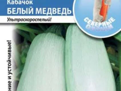 Кабачки відео вирощування і догляд у відкритому грунті, які сорти кабачків краще (які) Кабачки відео вирощування і догляд у відкритому грунті, які сорти кабачків краще