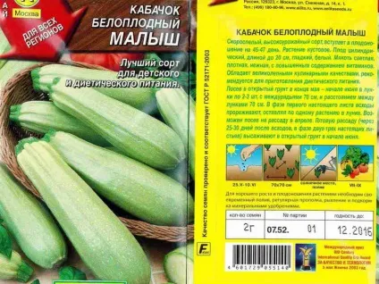 Кабачки відео вирощування і догляд у відкритому грунті, які сорти кабачків краще (кабачки) Кабачки відео вирощування і догляд у відкритому грунті, які сорти кабачків краще