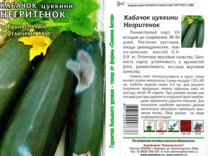 Кабачки відео вирощування і догляд у відкритому грунті, які сорти кабачків краще (догляд) Кабачки відео вирощування і догляд у відкритому грунті, які сорти кабачків краще