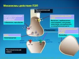 Новітнє лікування епілепсії (добу ламотриджин добу) Новітнє лікування епілепсії
