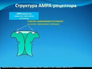 Новітнє лікування епілепсії (можливість поєднання будь-якими) Новітнє лікування епілепсії