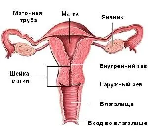 Неспроможність рубця на матці після кесаревого розтину причини розвитку, лікування (кесаревого) Неспроможність рубця на матці після кесаревого розтину причини розвитку, лікування