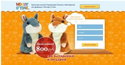 Незвичайні приклади посадочних сторінок з продажу говорять хом'яків (продають сторінки приклад) Незвичайні приклади посадочних сторінок з продажу говорять хом'яків