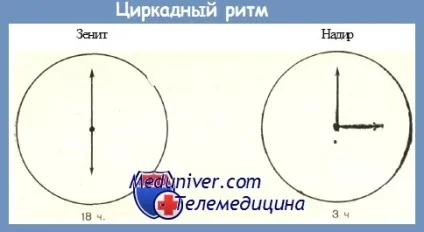 Нормальна температура тіла у дітей