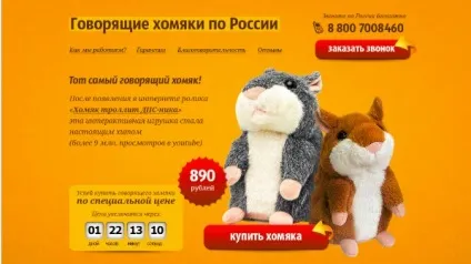 Незвичайні приклади посадочних сторінок з продажу говорять хом'яків (сторінок) Незвичайні приклади посадочних сторінок з продажу говорять хом'яків
