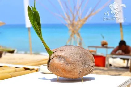 Новий пляжний бар на Самуї