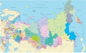 Які овочі можуть рости в тіні, для (тіні) Які овочі можуть рости в тіні, для