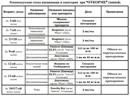 Які щеплення роблять поросятам з народження список