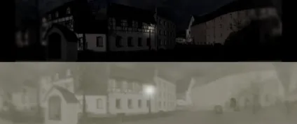 Як кішки бачать світ