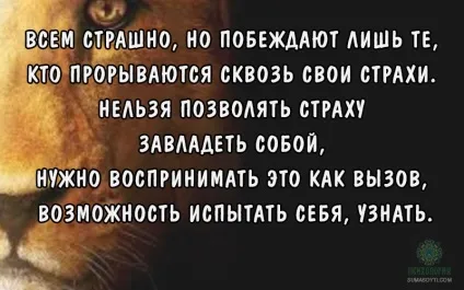 Як позбутися від тривоги і страхів - психологія (як позбутися страху) Як позбутися від тривоги і страхів - психологія