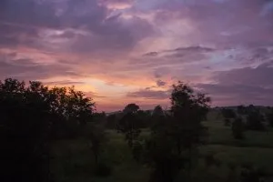 Як ми добиралися до гоа, рай на землі (International tourist Bureau) Як ми добиралися до гоа, рай на землі