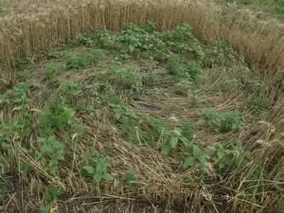 Як ми віддзеркалюємося в інших і світі (світі) Як ми віддзеркалюємося в інших і світі