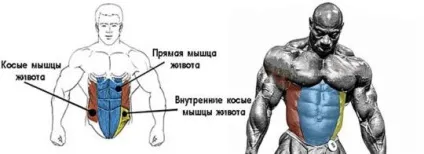 Як накачати бічний прес в домашніх умовах і в тренажерному залі (залі) Як накачати бічний прес в домашніх умовах і в тренажерному залі