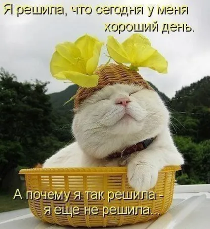 Як мислити позитивно - особистий досвід управління думками (як почати мислити позитивно) Як мислити позитивно - особистий досвід управління думками