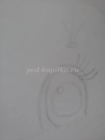 Як намалювати зайчика олівцем поетапно з фото (намалювати) Як намалювати зайчика олівцем поетапно з фото