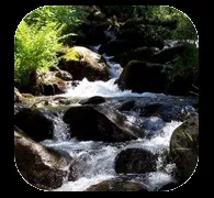 Як знайти воду в лісі поради як знайти і добути воду - чоловічий журнал лев (добути воду) Як знайти воду в лісі поради як знайти і добути воду - чоловічий журнал лев