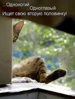 Як знайти взаємну любов (знайти) Як знайти взаємну любов