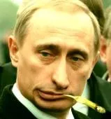 Як відлякувати кабанів ярпортал, форум Ярославля