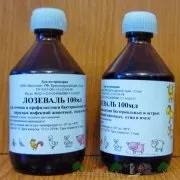 Як відрізнити голуба від голубки ефективні методи і фото (фото) Як відрізнити голуба від голубки ефективні методи і фото