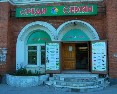 Як визначити термін придатності насіння овочевих культур і квітів