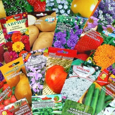 Як визначити термін придатності насіння овочевих культур і квітів