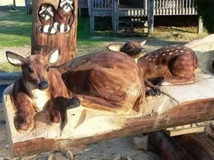 Яке хобі вам підходить