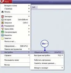Як почистити кеш в браузерах - 8 червня 2013 - всі секрети соціальних мереж-однокласники, вконтакте (часом можна запам'ятати напам'ять) Як почистити кеш в браузерах - 8 червня 2013 - всі секрети соціальних мереж-однокласники, вконтакте