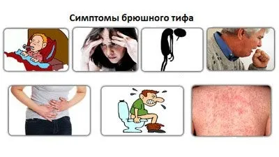 Як передається черевний тиф шляхи зараження (передається) Як передається черевний тиф шляхи зараження