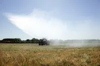 Як отримати землі сільгосппризначення безкоштовно і на платній основі (отримати землі сільгосппризначення безкоштовно пільговий категорія ділянку) Як отримати землі сільгосппризначення безкоштовно і на платній основі